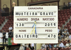 Melhor é quase impossível ...