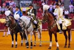 Campo Pequeno um concurso de pega com Charruas a pedir contas