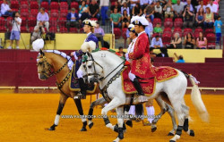 Altíssima competição ontem no Campo Pequeno.