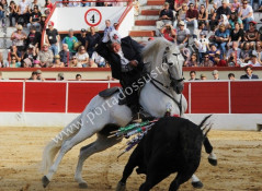 Imagens do Festival no Montijo  19-10-2014