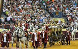 Imagens da Gala do Campo Pequenno