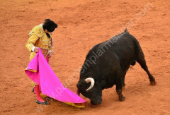Um pouco de tudo na ultima corrida em Olivenza.