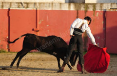 Tenta na Ganadaria Falé Filipe 