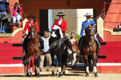 QUIEMA DAS FITAS 2013 NA FIGUEIRA DA FOZ