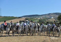 ARRUDA dos VINHOS   14-08-2014   17h30