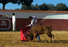 Tenta na Ganadaria  de Pinto Barreiros