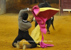  A Sociedade Campo Pequeno, SA, a Tertúlia “O Piriquita” de Arruda dos Vinhos e a “Fundação José Alberto Faria”, vão organizar conjuntamente, em Fevereiro de 2013 e à semelhança dos últimos anos, o “VI Encontro Internacional de Escolas Taurinas”. 