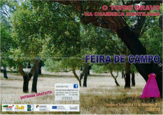 FEIRA do TOIRO