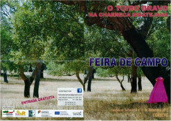 FEIRA do TOIRO