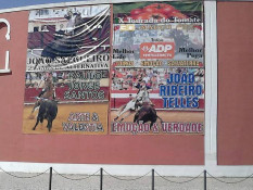 Amanhã em Salvaterra Estreia da Ganadaria de Alves Inácio