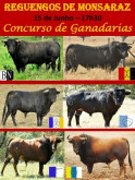 Toiros para o concurso de ganadarias em Reguengos