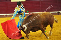 Manuel Dias Gomes em Sevilha