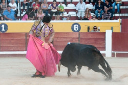 Alunos do Campo Pequeno destacam-se na inauguração da feira da Moita