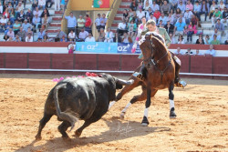 A TEMPORADA DE 2014 DE ANA BATISTA