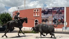 OS TOIROS DE PALHA PARA A CORRIDA DE SALVATERRA DE MAGOS