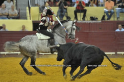 CAMPO PEQUENO 6 SETEMBRO GANADARIA D. MARIA G.MOURA - ANTÓNIO TELLES P.HERMOSO DE MENDOZA - RUI FERNANDES FERCADOS: CORUCHE E CHAMUSCA 
